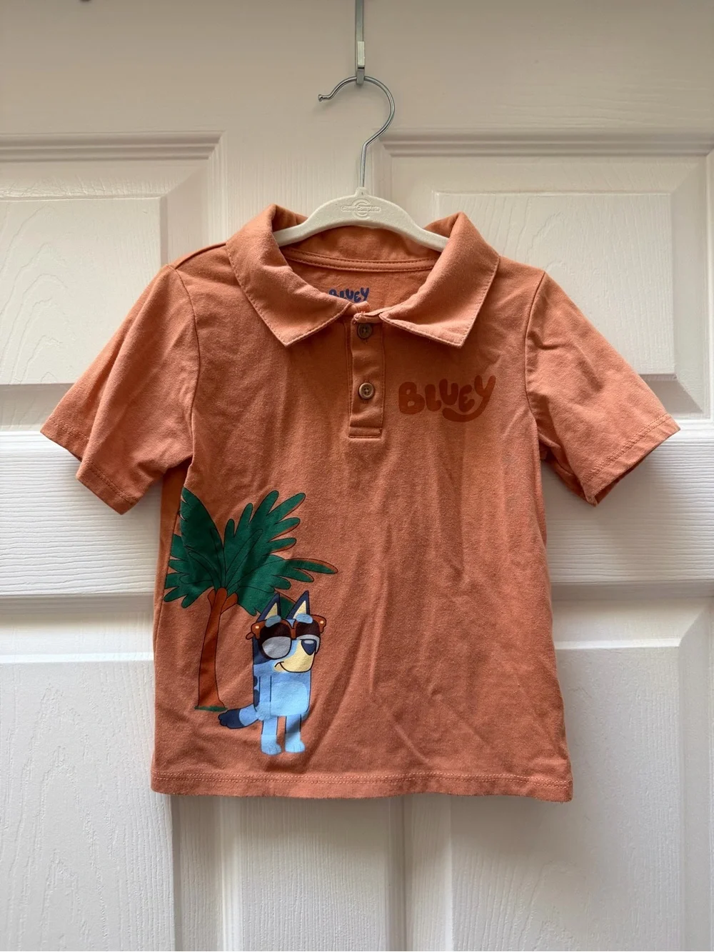 Bluey Polo + Shorts Palm Tree Set